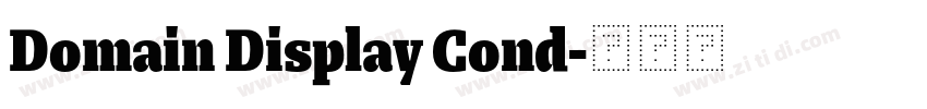 Domain Display Cond字体转换 Domain Display Cond字体转换